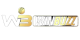winbuzz (1)